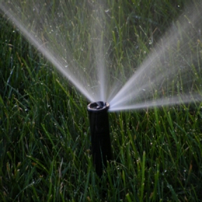 Spewing lawn sprinkler